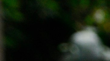 Livia Brito, actriz mexicana.