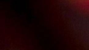 Olga Warnot Vicente Fernández