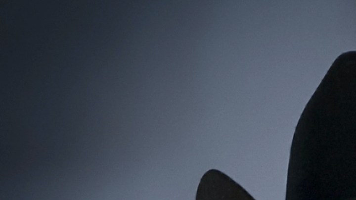 Pablo Montero, cantante y actor mexicano.