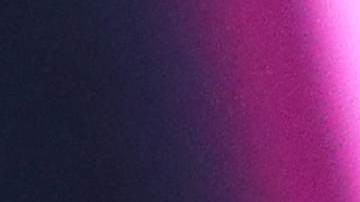 París Hilton, empresaria y socialité estadounidense.