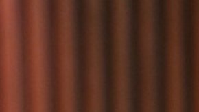 Rafael Araneda, conductor chileno de televisión