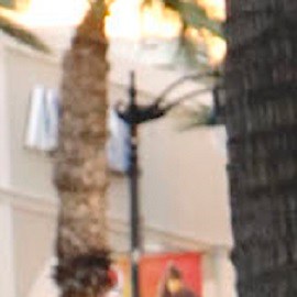 Adamari López en el paseo de Hollywood.