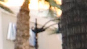 Adamari López en el paseo de Hollywood.