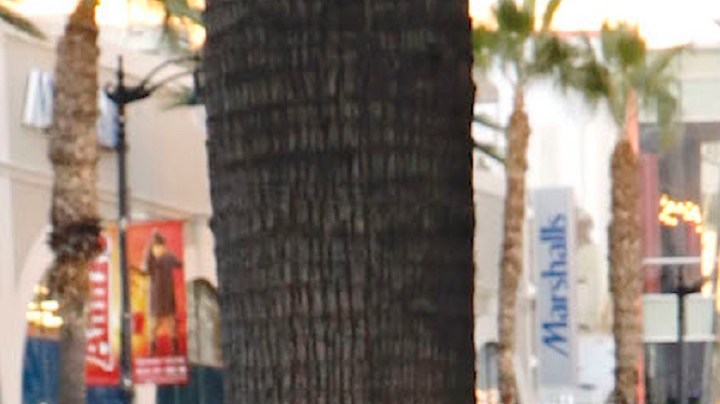Adamari López en el paseo de Hollywood.