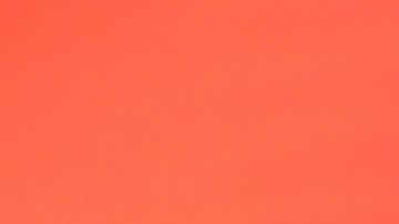 Adamari López, presentadora puertorriqueña de televisión.