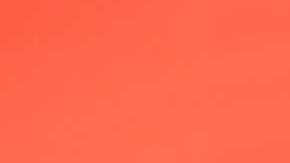 Adamari López, conductora de televisión.