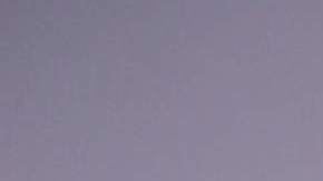 Chyno Miranda, cantante venezolano.