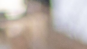 Ninoska Vásquez, modelo venezolana | (Photo by David Dee Delgado/Getty Images)