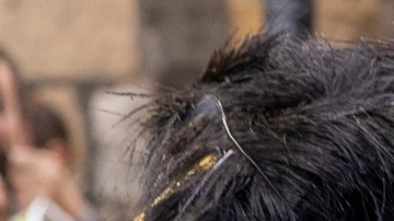 Rey Carlos III y la reina consorte Camila