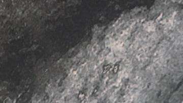 Gloria Estefan, cantante.