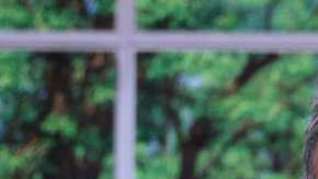 Héctor Sandarti, conductor guatemalteco de televisión.