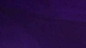 Laura Bozzo, conductora peruana de televisión.