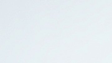 Michelle Renaud, actriz mexicana.