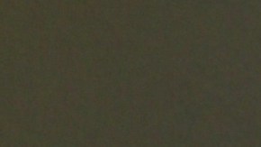 Ninel Conde, actriz mexicana.