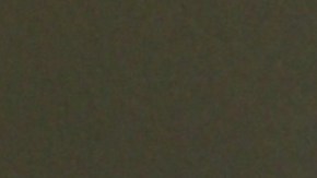 Ninel Conde, actriz mexicana.