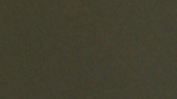 Ninel Conde, actriz mexicana.