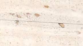 Osmel Sousa, expresidente del Miss Venezuela