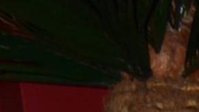 Yolanda Andrade, presentadora de televisión.
