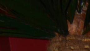 Yolanda Andrade, presentadora de televisión.