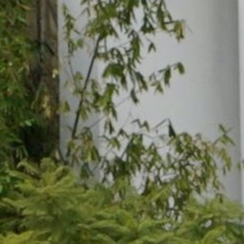 Oka Giner, Alejandra Espinoza y Altair Jarabo en Corazón Guerrero