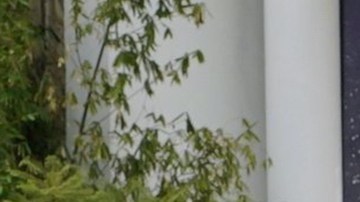 Oka Giner, Alejandra Espinoza y Altair Jarabo en Corazón Guerrero