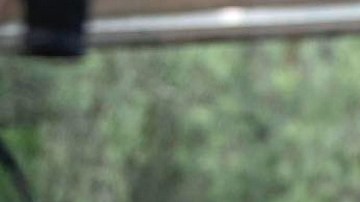 Andrés Palacios y Aracely Arámbula en La Madrastra | Mezcalent