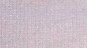 Penélope Menchaca, conductora mexicana