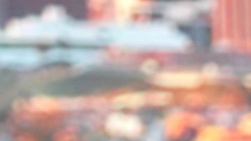 Adamari López, presentadora puertorriqueña de televisión.