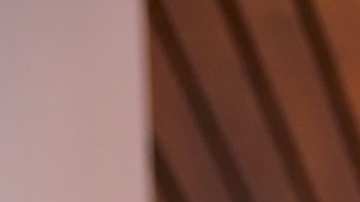 Amanda Dudamel, Miss Venezuela 2021.