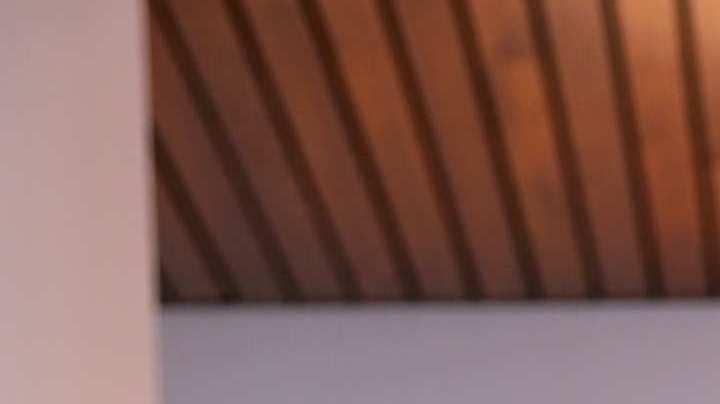 Amanda Dudamel, Miss Venezuela 2021.
