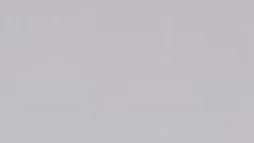 Andrea Meza, presentadora mexicana de televisión.