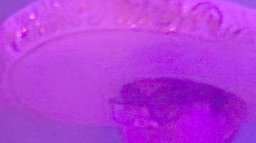 Ángela Aguilar, cantante mexicana.