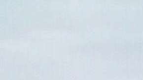 Angelique Boyer, actriz.