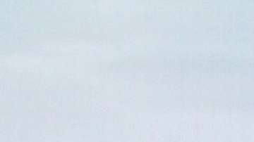 Angelique Boyer, actriz.