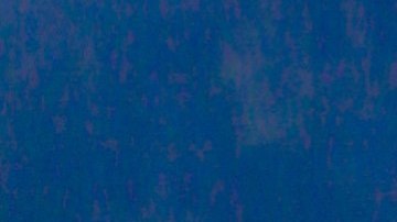 Bad Bunny, cantante puertorriqueño.