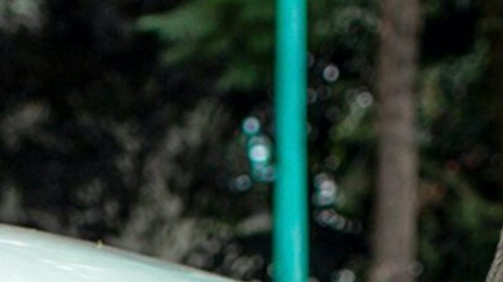 Daniel Arenas, actor colombiano.