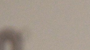 Wilfrido Vargas, cantante dominicano | (Photo by Bridget Bennett / AFP) (Photo credit should read BRIDGET BENNETT/AFP via Getty Images)