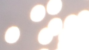 Selección de Argentina