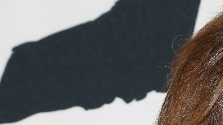 Zoraida Gómez, actriz mexicana | (Photo by Victor Chavez/Getty Images for Paramount Pictures International)