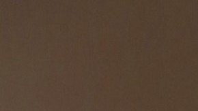 Migbelis Castellanos, presentadora de televisión.