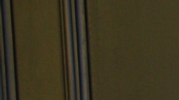 Ninel Conde, actriz mexicana.