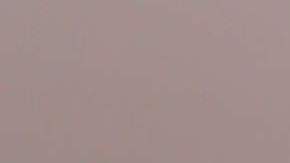 Amanda Dudamel, Miss Venezuela.