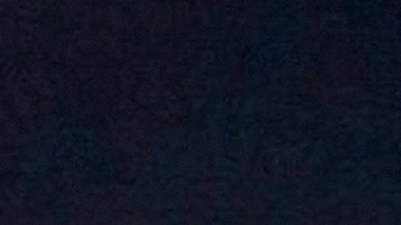 Bad Bunny, cantante puertorriqueño.