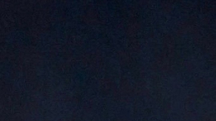 Bad Bunny, cantante puertorriqueño.