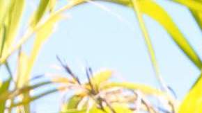 Carlos Adyan, presentador de televisión.