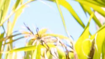 Carlos Adyan, presentador de televisión.