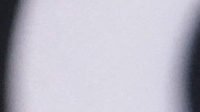 Nadia Ferreira y Marc Anthony