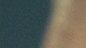 Daniela Álvarez, Miss Colombia 2011.