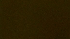 Nayib Bukele, presidente de El Salvador | (Photo by Anna Moneymaker/Getty Images)