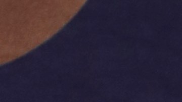 Alejandra Espinoza, presentadora mexicana | (Photo by Paul Morigi/Getty Images for TelevisaUnivision)